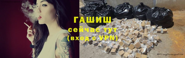 прущие грибы Елизово