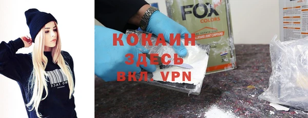 прущие грибы Елизово
