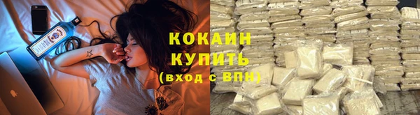 гидра Ельня