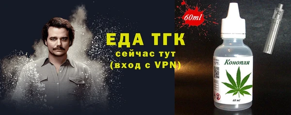 дживик Елабуга
