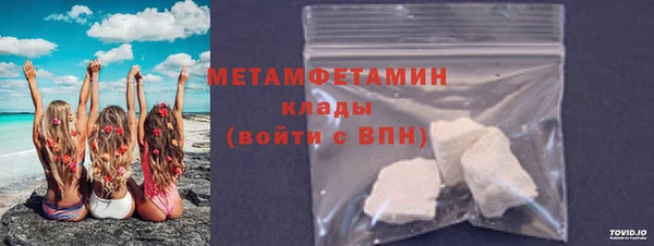 гидра Ельня
