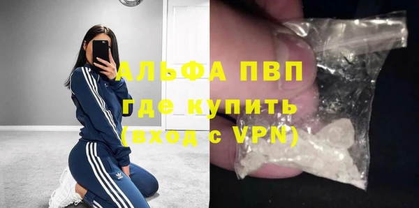 гидра Ельня
