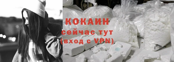 прущие грибы Елизово