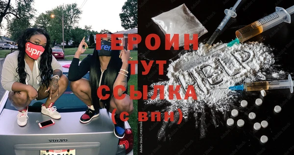 гидра Ельня