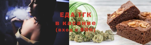 прущие грибы Елизово