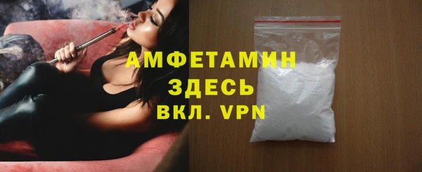 гидра Ельня