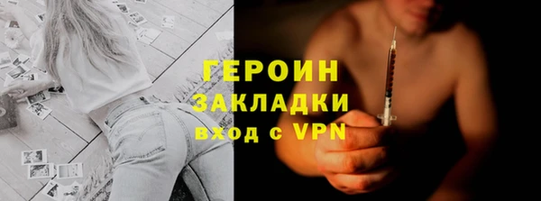 гидра Ельня