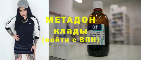 прущие грибы Елизово