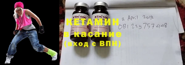 прущие грибы Елизово