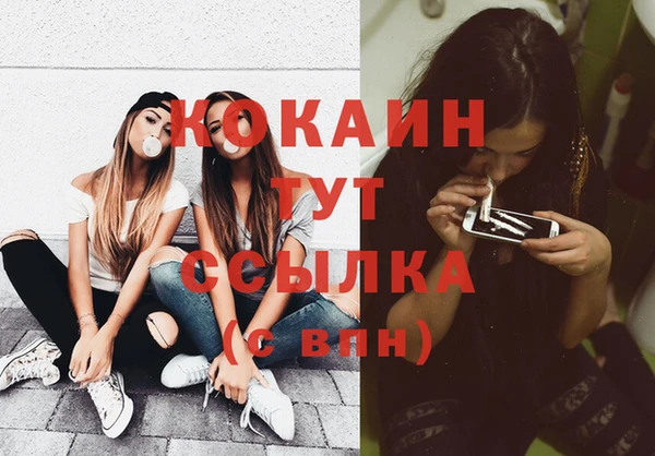 прущие грибы Елизово