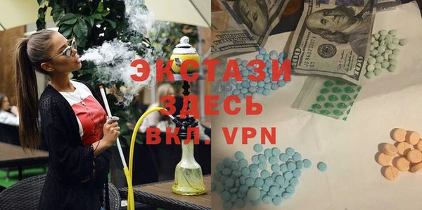 гидра Ельня