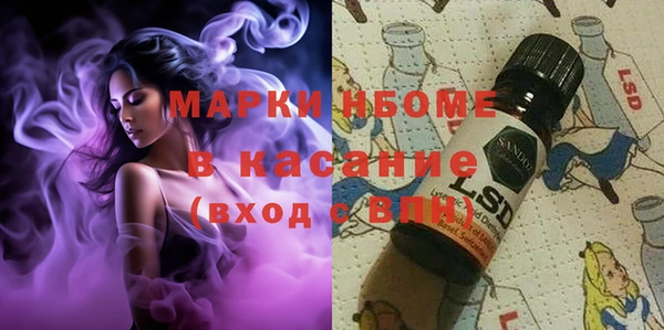 гидра Ельня
