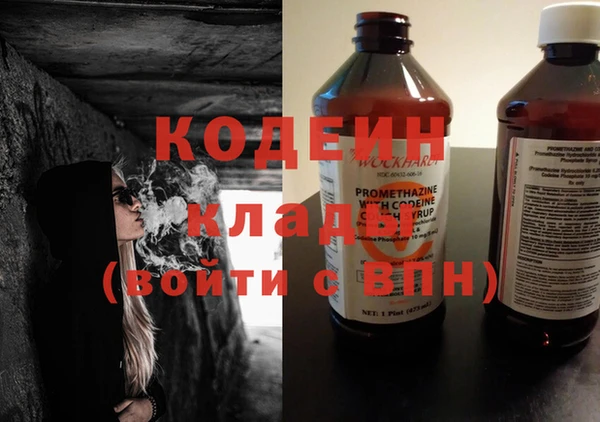 прущие грибы Елизово