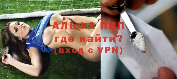 гидра Ельня