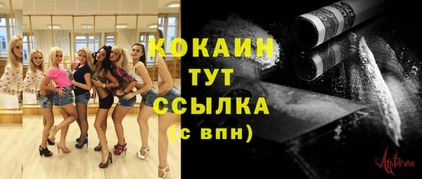 гидра Ельня