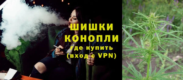 гидра Ельня
