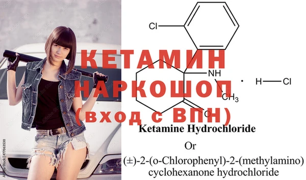прущие грибы Елизово