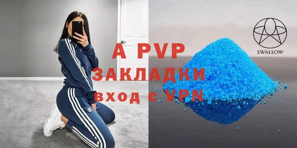гидра Ельня