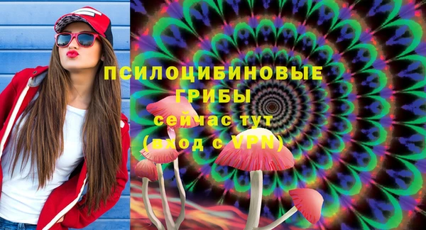 прущие грибы Елизово