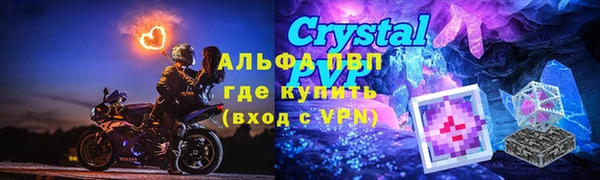гидра Ельня