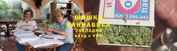 гидра Ельня